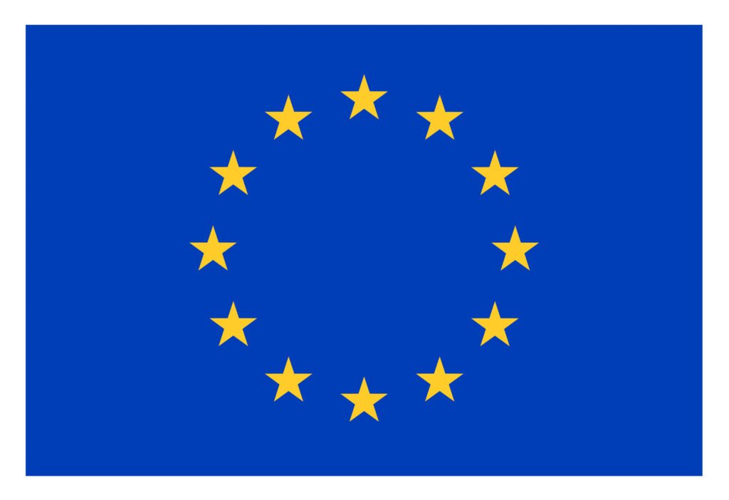 european flag